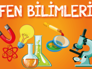 fenbilimleri fenbilimleri